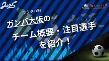 ガンバ大阪 2025 ノベルティ タペストリー 全15選手 限定品