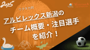 アルビレックス新潟の特徴・注目選手を紹介!|グッズ販売店の詳細も!【ワクタカスポーツ 2025年版】 7 アルビレックス新潟のチーム概要・おススメ選手を紹介!【ワクタカスポーツ 2025年版】