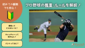 プロ野球初心者ガイド