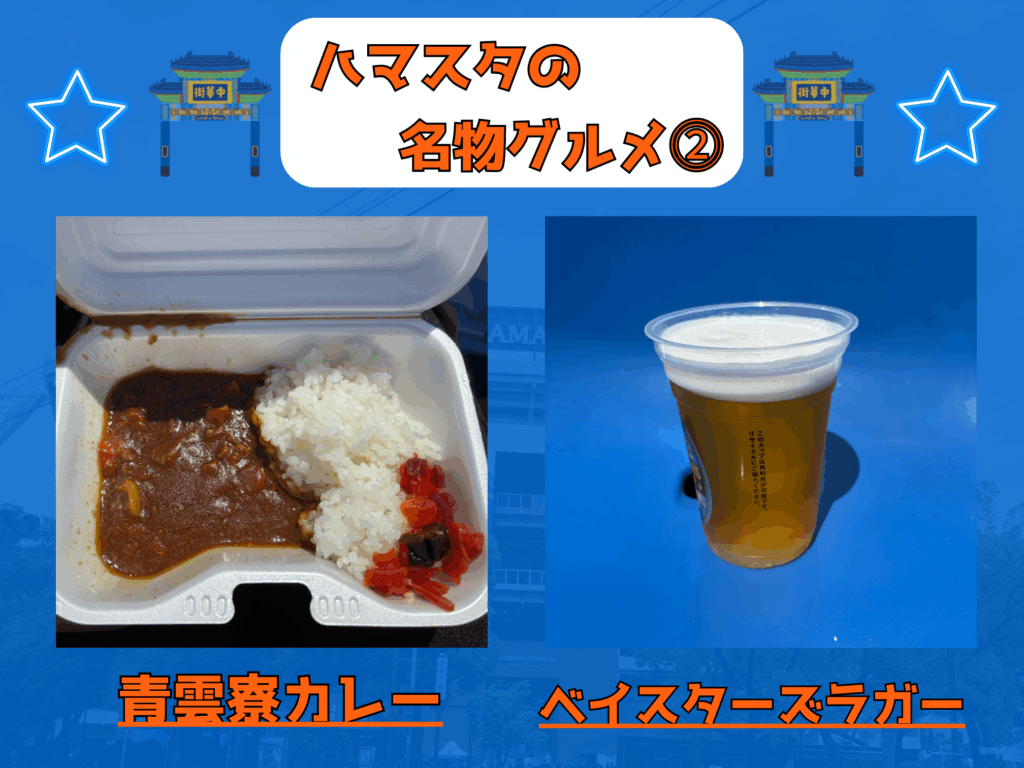 【2025年最新版】横浜スタジアム座席ガイド|見え方写真・新席種(エグゼクティブBOXなど)・お得チケット完全攻略 22 左が青雲寮カレー、右がベイスターズラガー