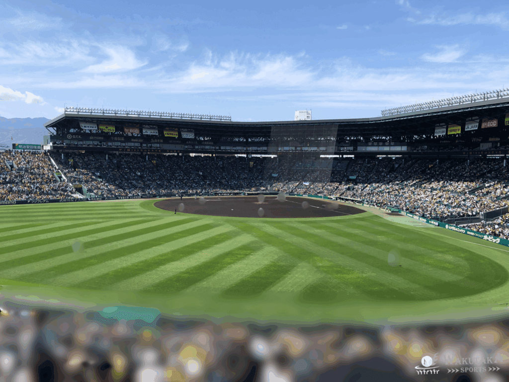 レフト側外野席から見た甲子園球場の写真 (2022年ワクタカ撮影)