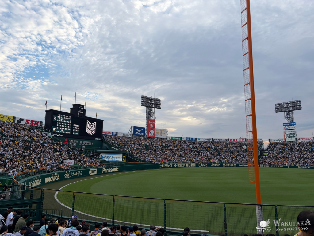 【2026年最新版】甲子園 座席ガイド|見え方・屋根・雨・日差し対策も網羅! 42 甲子園三塁側アルプス席から外野席の見え方