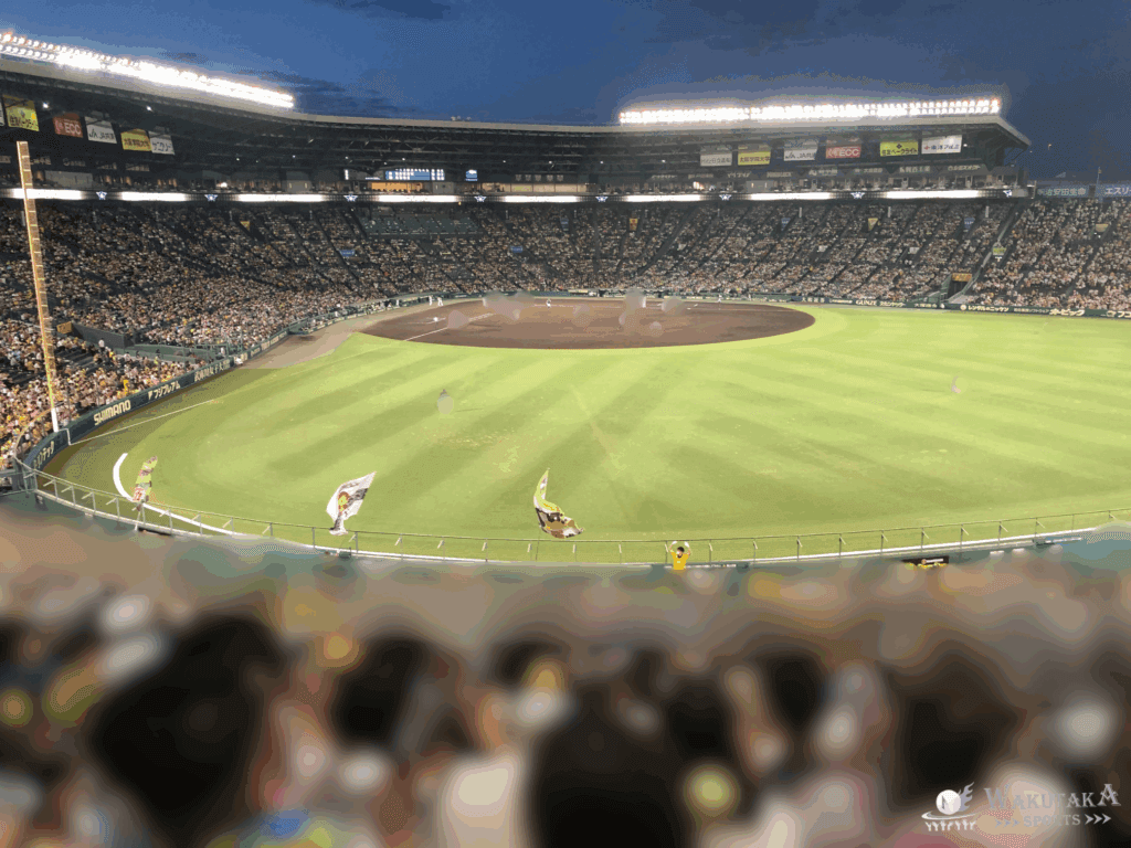 ライト側外野席から見た甲子園球場の写真 (2022年ワクタカ撮影)