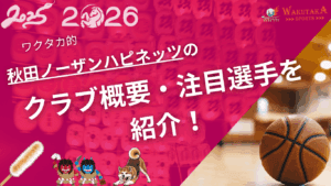 秋田ノーザンハピネッツのクラブ概要・注目選手を紹介！【ワクタカスポーツ 2025-26シーズン版】