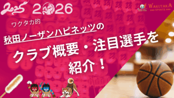 秋田ノーザンハピネッツのクラブ概要・注目選手を紹介！【ワクタカスポーツ 2025-26シーズン版】